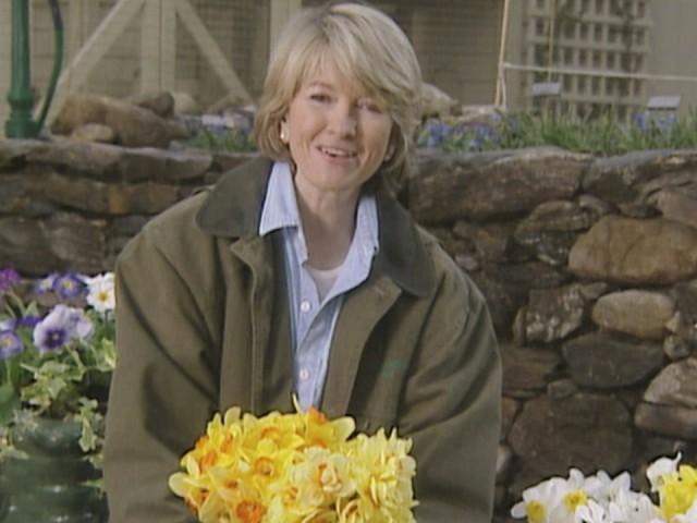 Peanut Butter Chocolate Cookies; Arranging Daffodils