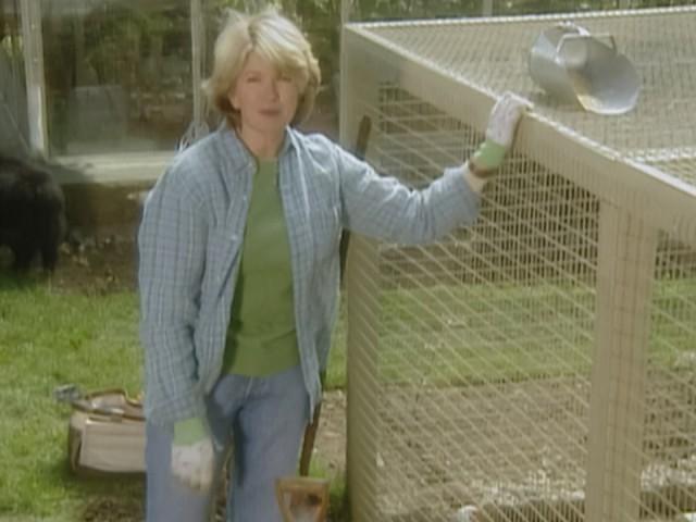 Vegetable Garden; Planting Gourds; Spring Vegetable Pasta