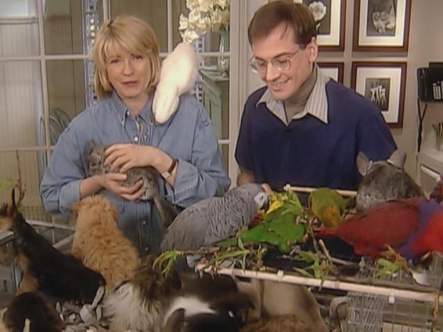 Pets in the Home; Pet Accident-Proofing; Pet Grooming