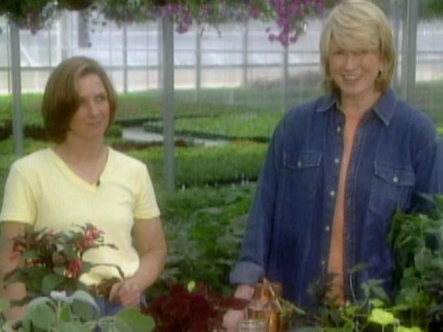 Nursery Tour: Greenhouse; Seasonal Container Planting