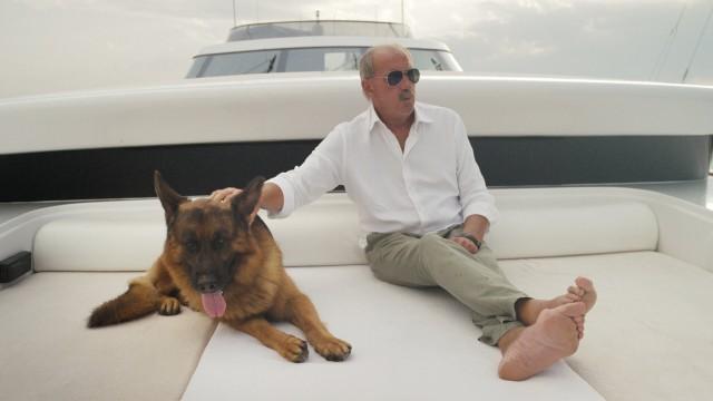 Cachorro de sorte