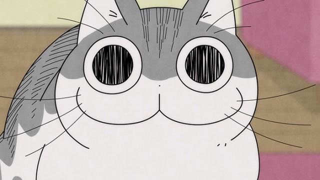 Night 30: A Cat Staring at Something