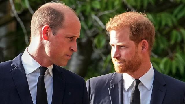 Prince and Rebel - Harry against the royal family