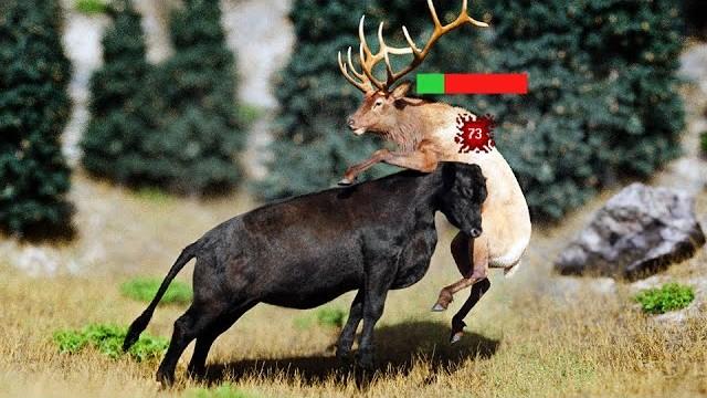 Are Cows OP?