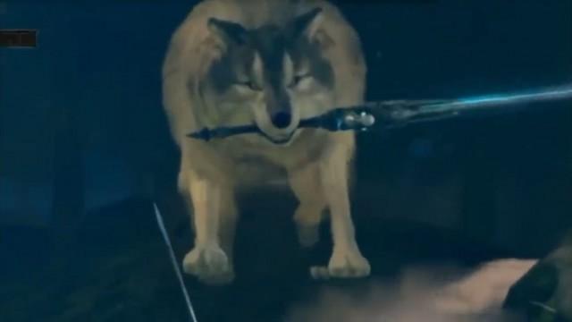 Sabaku, Cydonia e Petite "diomadonna" Londo.
