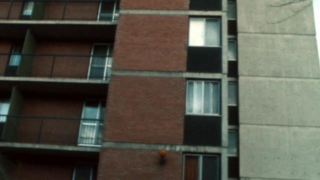 HLM : Des moisissures qu'on ne veut pas voir