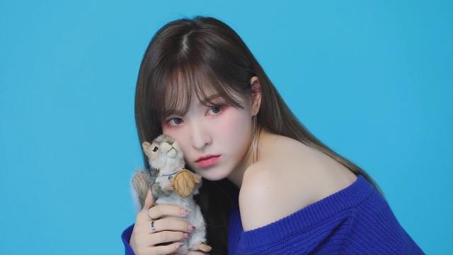 2019 SM ARTIST SEASON’S GREETINGS DVD Teaser (Red Velvet)