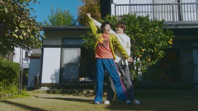 犬、怒る