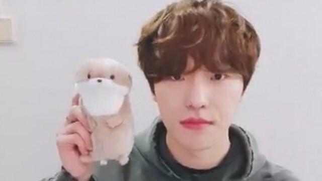 HAPPY DINO DAY