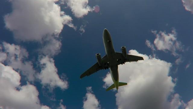 O piloto