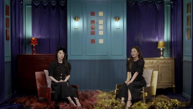 그림자 인터뷰 | 아이린과 아이린을 인터뷰 했다 (IRENE & IRENE were Interviewed)