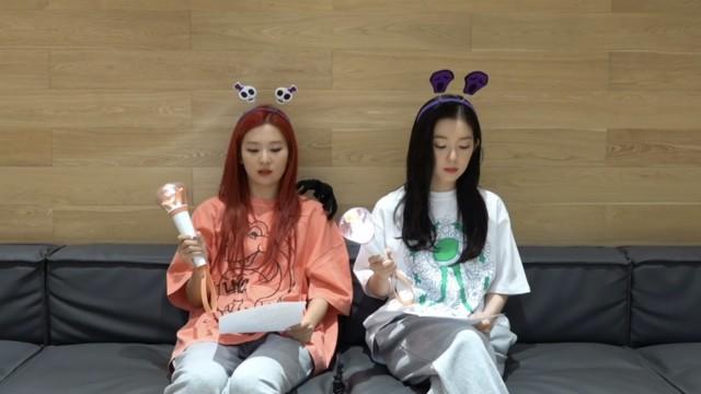 Red Velvet - IRENE & SEULGI 'Monster'  응원법 (Fanchant Guide)