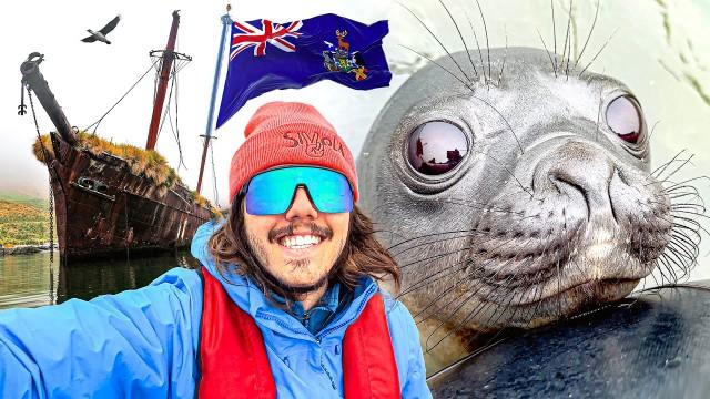 meglio dell'ANTARTIDE! l'incontro più speciale di tutti i miei viaggi, in Georgia del Sud