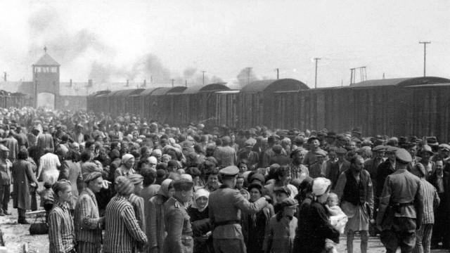 L'homme interné de son plein gré dans le camp de la mort d'Auschwitz