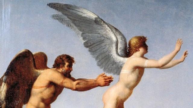 Les ailes