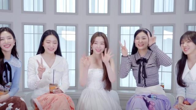 Red Velvet 레드벨벳 'Feel My Rhythm' MV Reaction l RV Collection