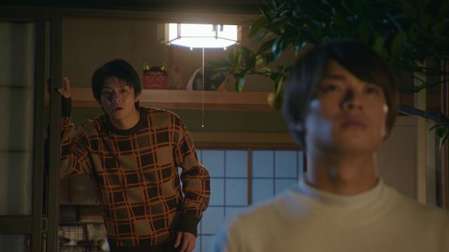 犬と猫がんばる