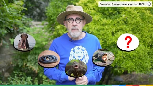 Top 5 - Les animaux les plus DANGEREUX du monde