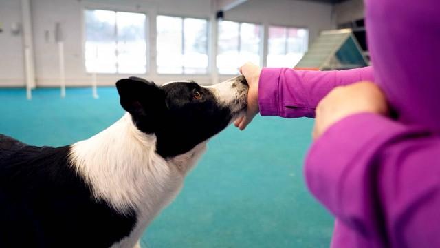 Nose touch