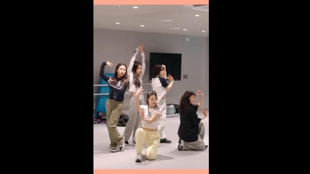 [Preview of ‘R to V’] Ep. In & Out I Red Velvet 4th Concert : R to V