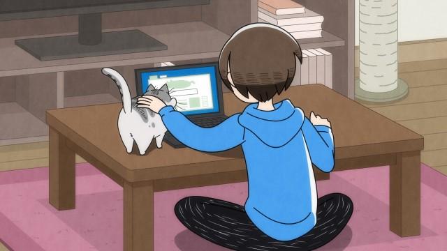 Night 34: Cat on the Keyboard