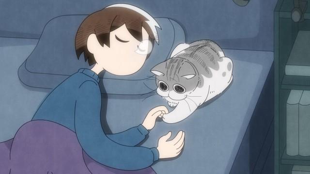 Night 35: The Urge to Mess with a Sleeping Cat