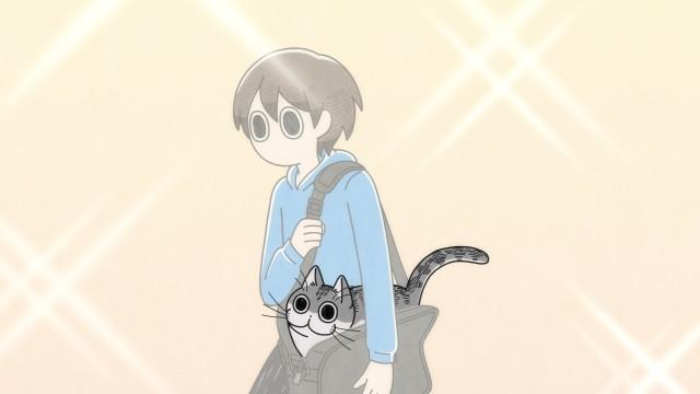 Night 36: Cat in the Bag