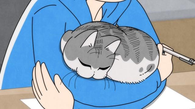 Night 40: I Want to Stop My Cat from Bugging Me