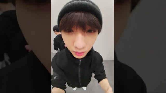 Special clip from ant park
