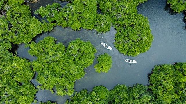 Siargao: Surviving The Storm