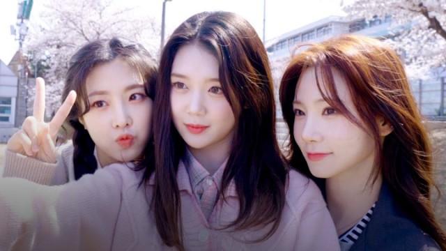 Triple Cherry Blossom | tripleS 트리플에스 : SIGNAL 230330