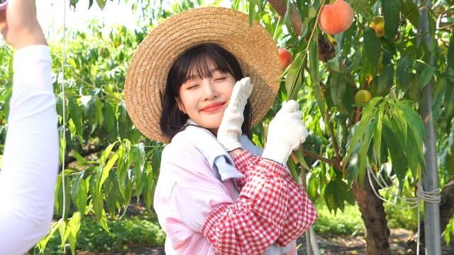 안녕하세요 안자영입니다ㅣ어쩌다 전원일기 포스터 촬영 & 제작발표회 비하인드