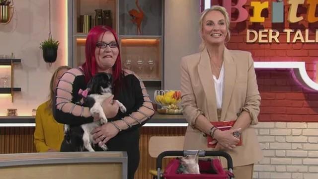 Hunde im Bett – muss das sein?!