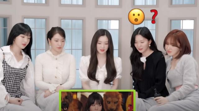 Red Velvet 레드벨벳 'Birthday' MV Reaction l RV Collection