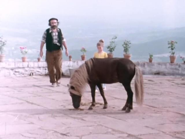 9ème épisode