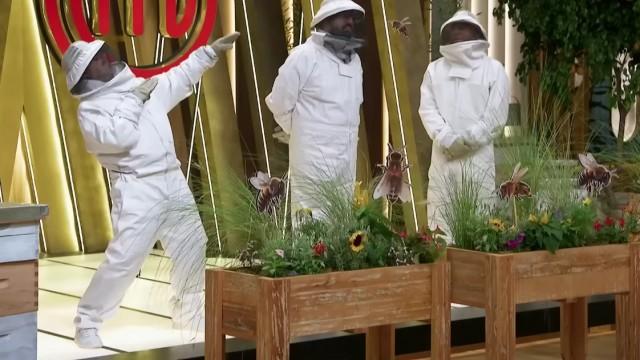 Programa 18