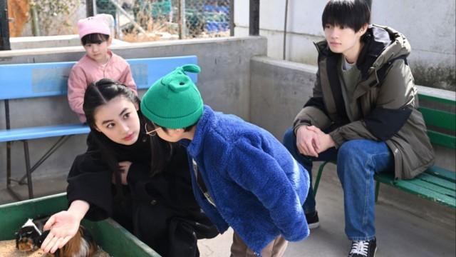 私たち、お付き合いしてます。