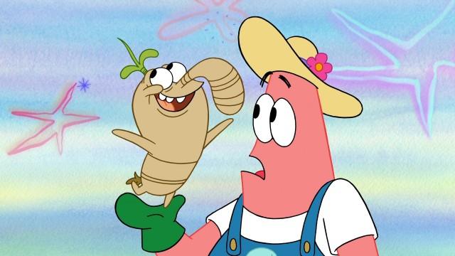 A Root Galoot