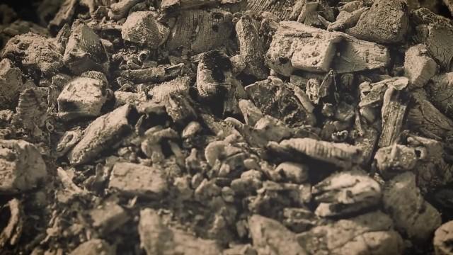 Only The Legs Remain | Spontaneous Human Combustion