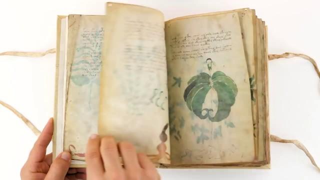 Voynich Manuscript Decoded | The Mysterious Book Finally Solved?