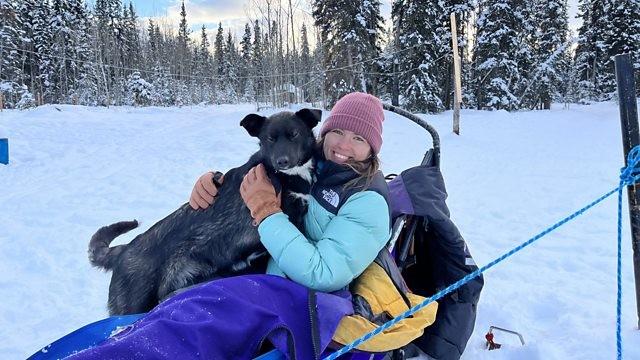The Four Legged Mail Trail