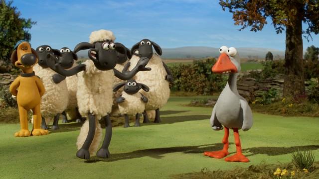 Sheep Sheep Goose
