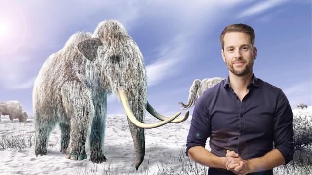 Europa in … 1. Der letzten Eiszeit