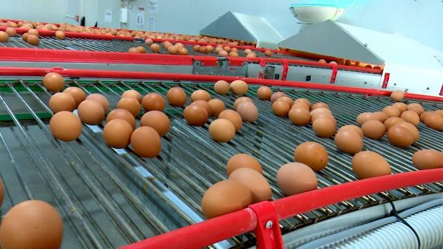 El Precio de los Alimentos