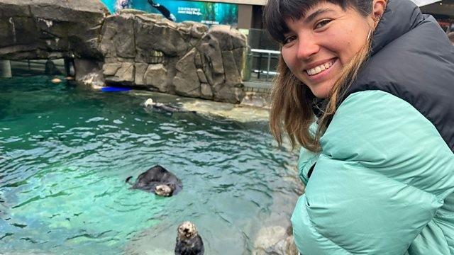 Saving Seals in Canada