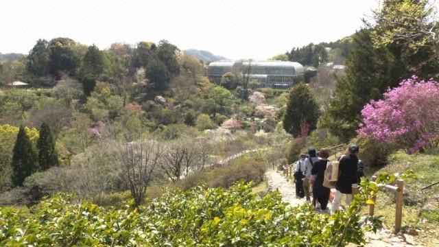 夢の植物図鑑 牧野富太郎〜苦難突破のオタク魂〜