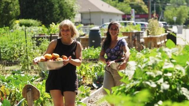Le pouvoir du jardinage