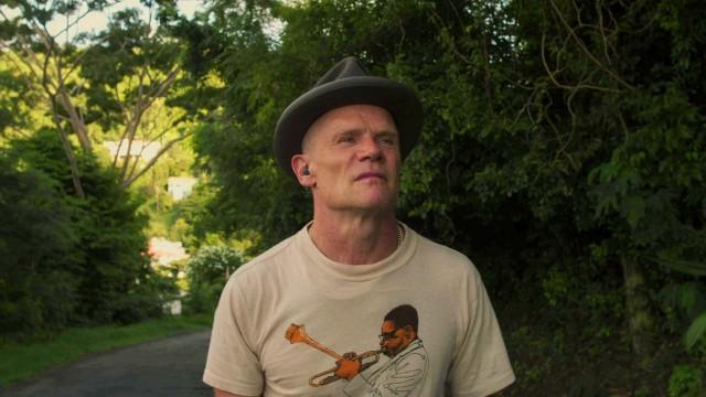 My Friend Flea