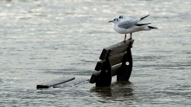 Allons-nous disparaître sous les flots ?