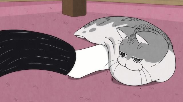Night 42: When You Touch a Cat Unexpectedly